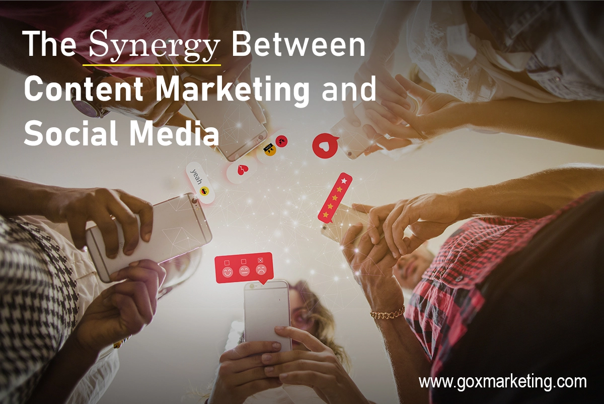 The Synergy Between Content Marketing and Social Media: Amplifying Your Reach
